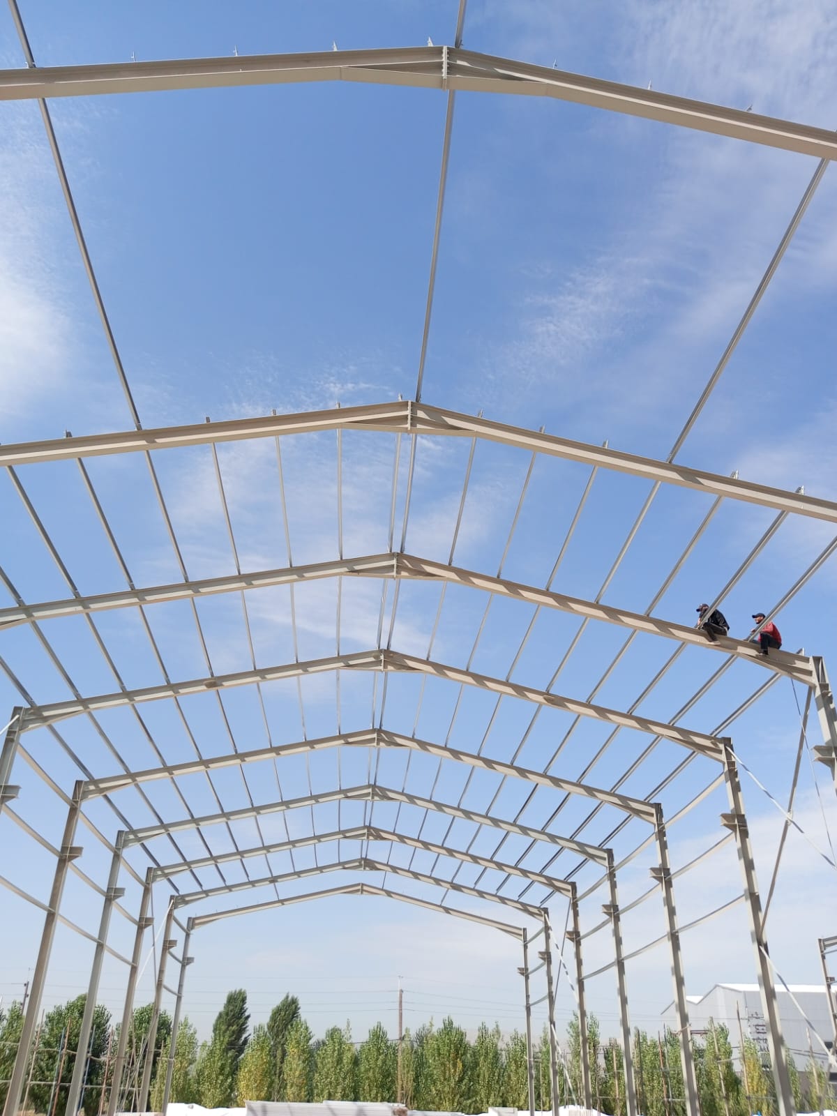 Steel Structure for Logistics – Industrial Hangar